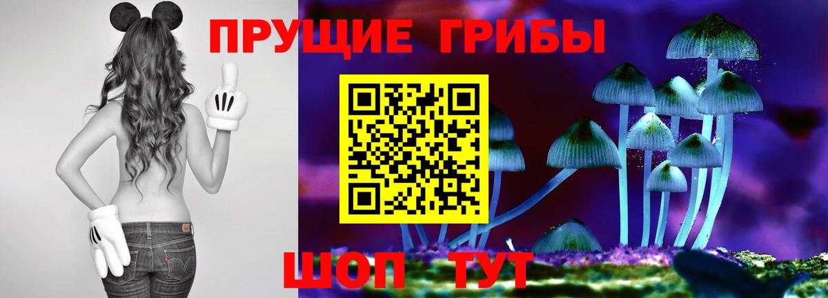 сколько стоит  Псилоцибиновые грибы Magic Shrooms  Вход с VPN  Добрянка 